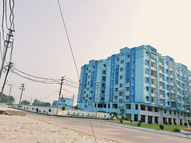 IMG-20241104-WA0005