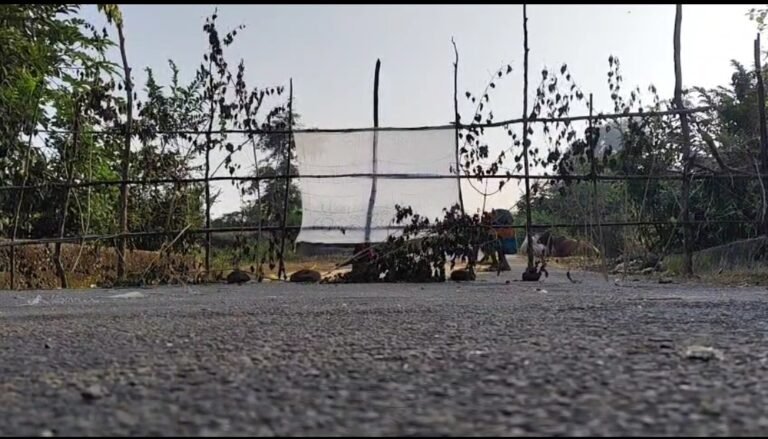 Oplus_131072